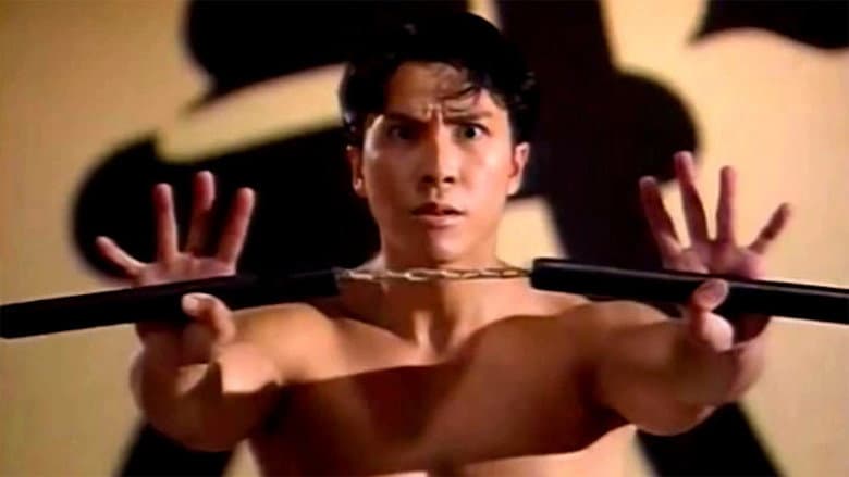 Backdrop from Fist of Fury