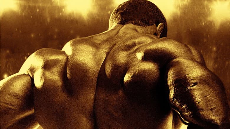 Backdrop from Generation Iron