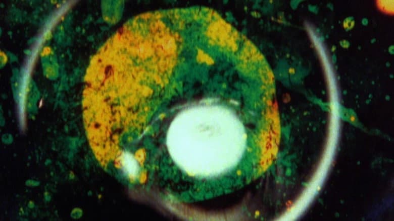 Backdrop from By Brakhage: An Anthology, Volume One