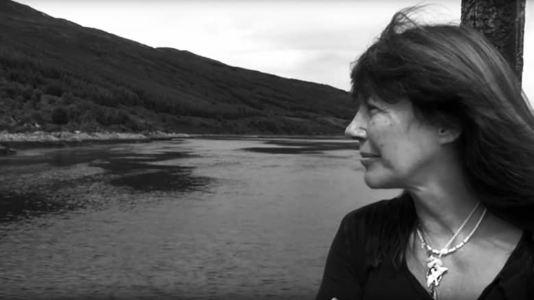 Backdrop from Vashti Bunyan: From Here to Before