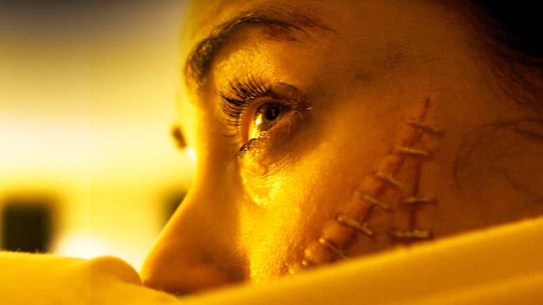 Backdrop from The Human Centipede (First Sequence)