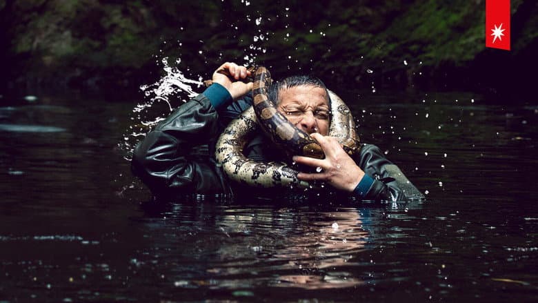 Backdrop from Animals on the Loose: A You vs. Wild Movie