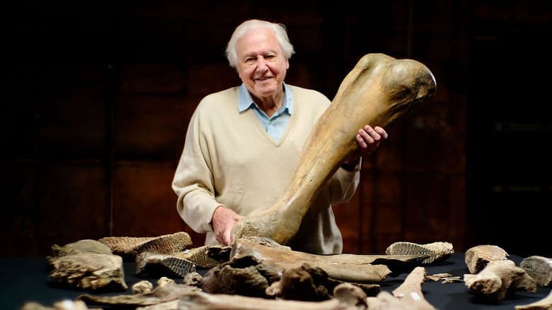 Backdrop from Attenborough and the Mammoth Graveyard