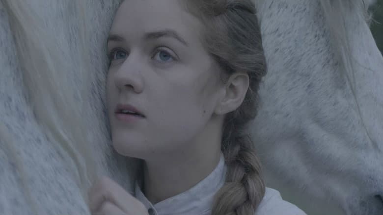 Backdrop from Stranded, Alone, Looking for my Horse