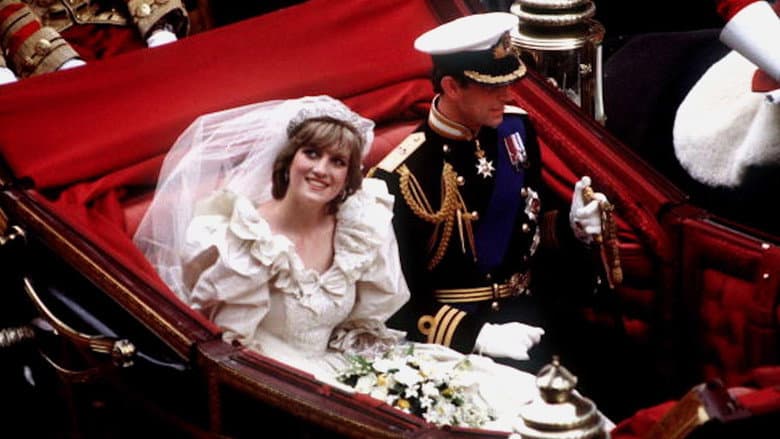 Backdrop from Princess Diana: The Quiet Revolution