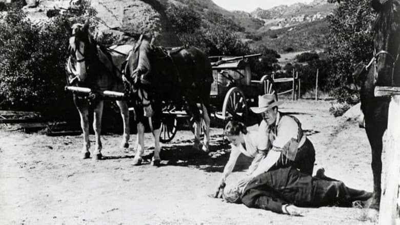 Backdrop from I Killed Wild Bill Hickok