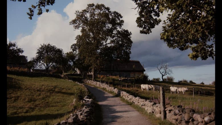 Backdrop from Äskhult - The Eternal Place