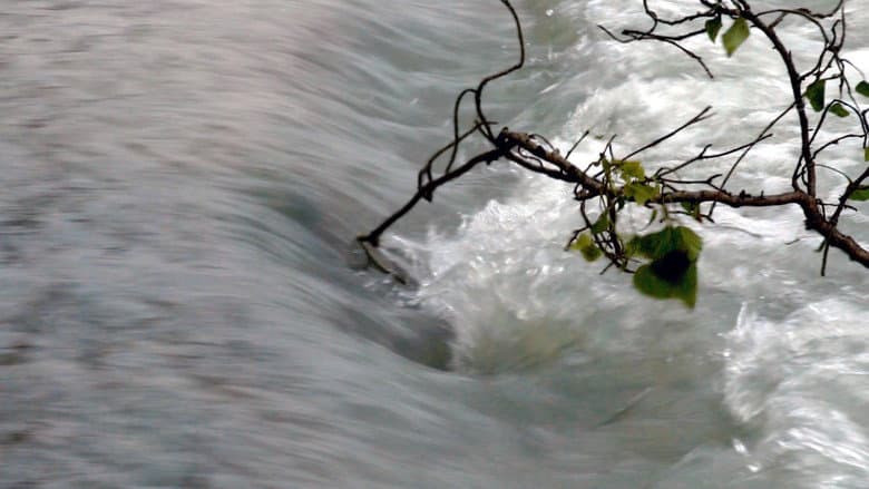 Backdrop from Il Fiume, A Ritroso