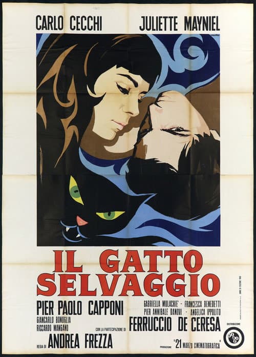 Poster for The Wild Cat