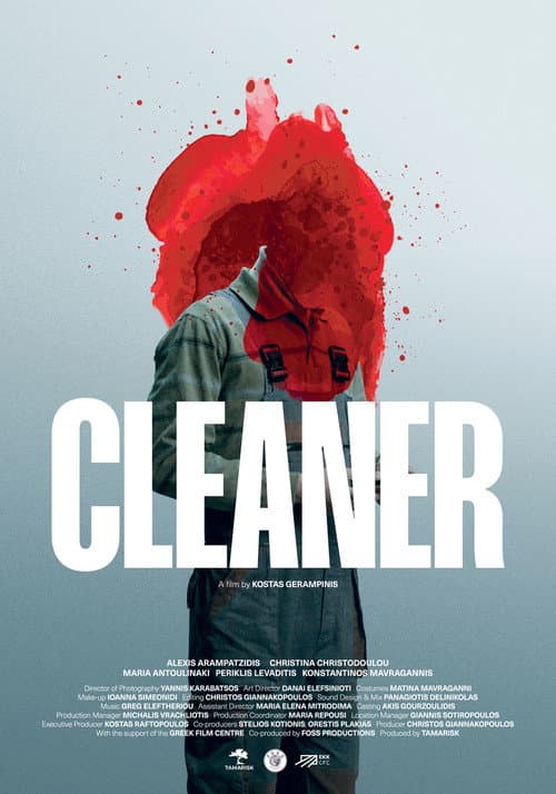 Poster for Cleaner