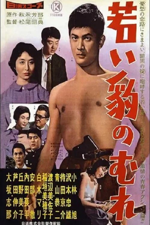 Poster for Young Panther