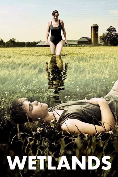 Poster for Wetlands