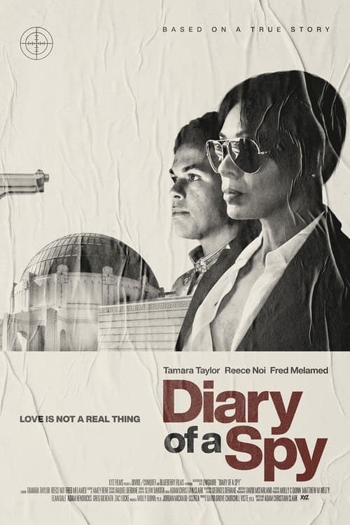 Poster for Diary of a Spy
