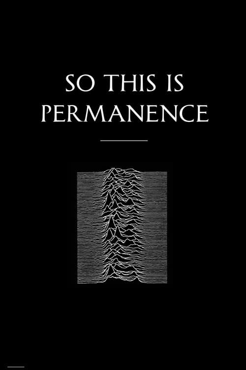 Poster for Peter Hook & The Light: So This Is Permanent