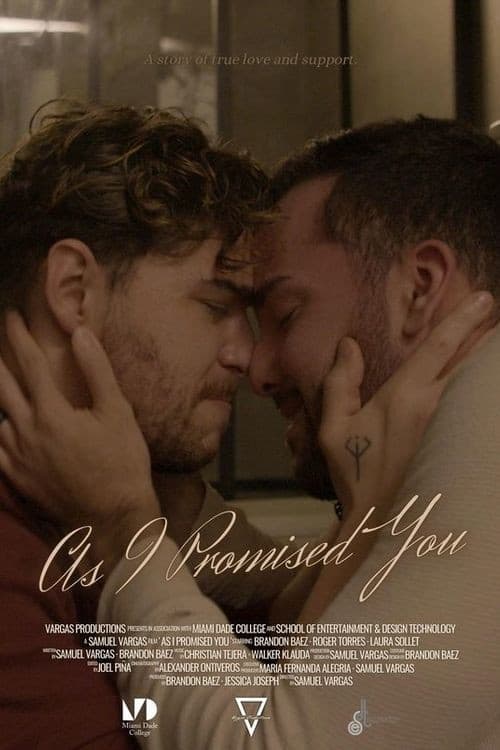 Poster for As I Promised You