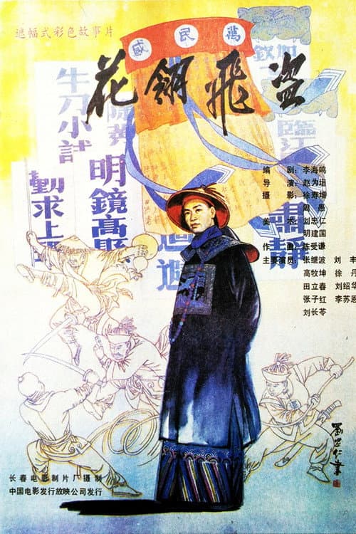 Poster for 花翎飞盗