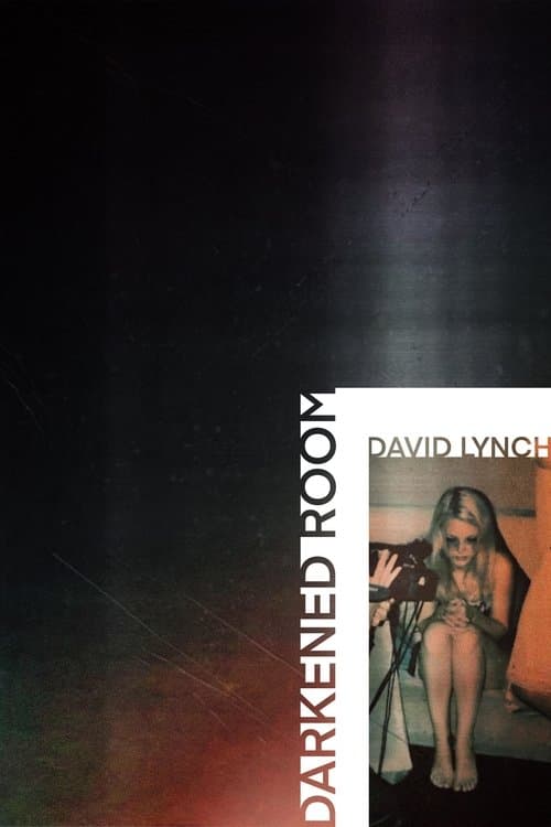 Poster for Darkened Room