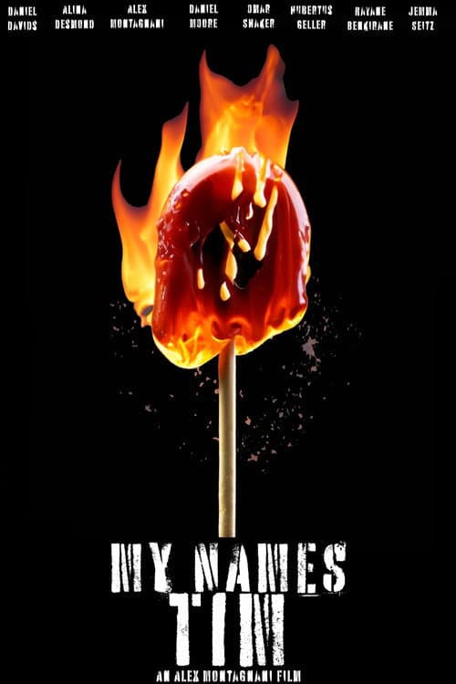 Poster for My Names Tim