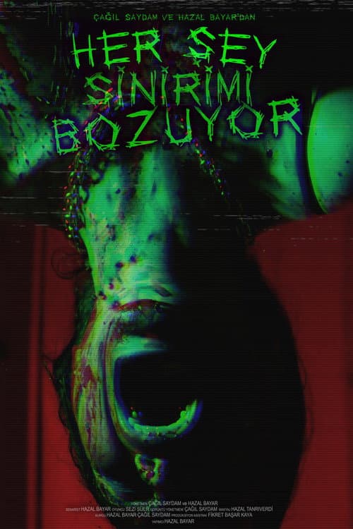 Poster for Everything Unnerves Me