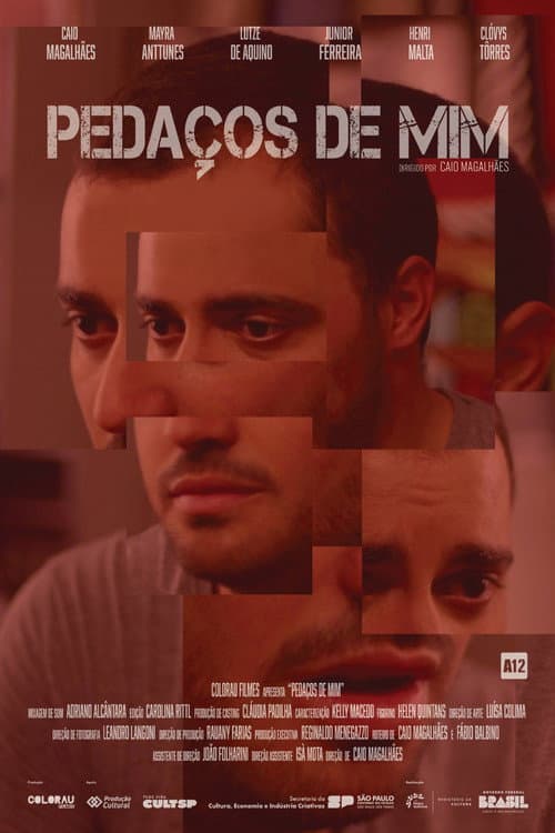 Poster for Pedaços de Mim