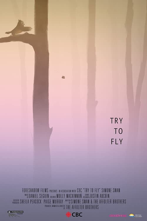Poster for Try to Fly
