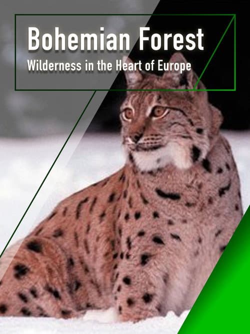 Poster for The Bohemian Forest - Wilderness in the Heart of Europe