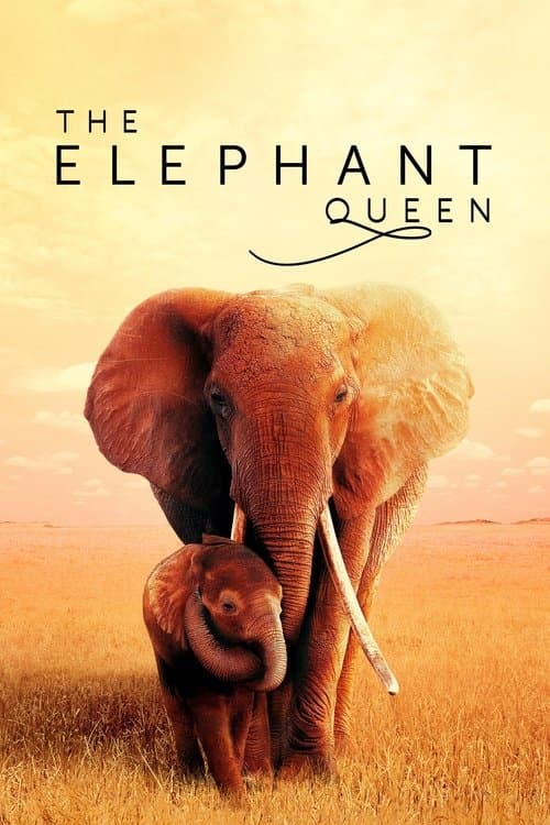 Poster for The Elephant Queen