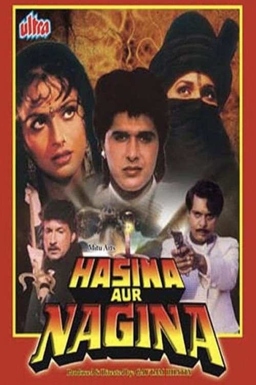Poster for Hasina Aur Nagina