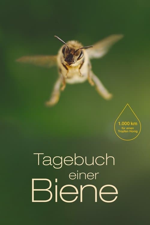 Poster for Diary of a Bee