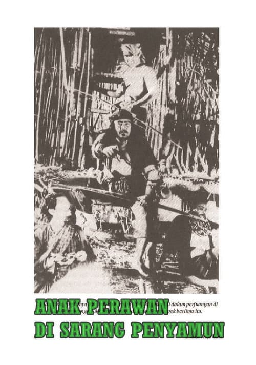 Poster for The Virgin in the Robbers' Nest