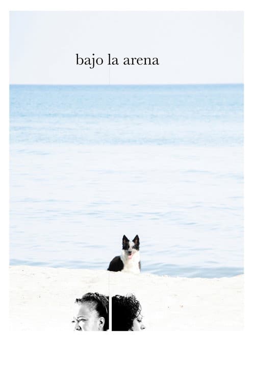 Poster for Under the Sand
