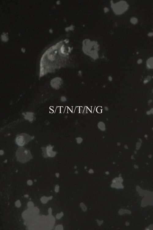 Poster for S/T/N/T/N/G