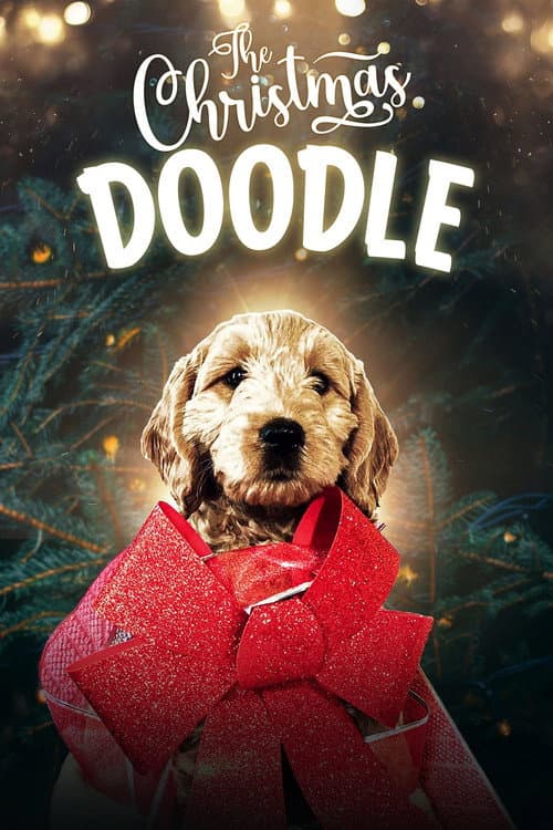 Poster for The Christmas Doodle