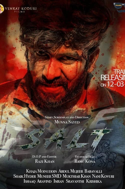 Poster for Salt