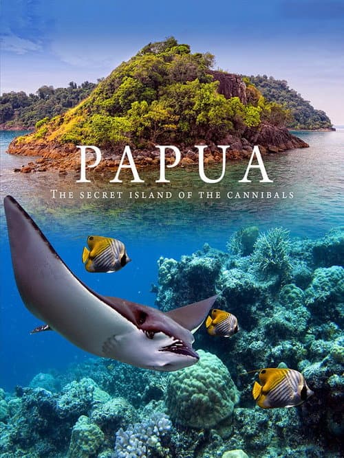 Poster for Papua 3D
