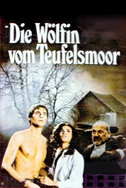 Poster for The Devil's Bed