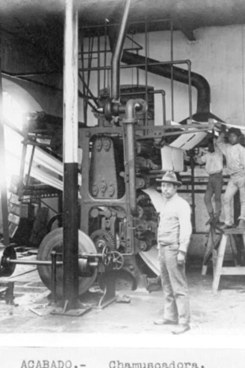Poster for Machine Man