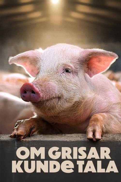 Poster for If Pigs Could Talk