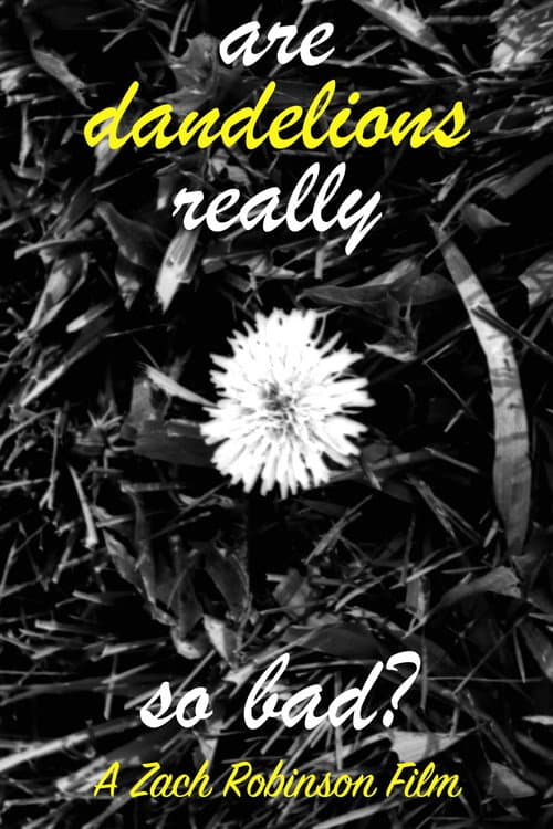 Poster for are dandelions really so bad?