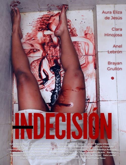Poster for Indecision