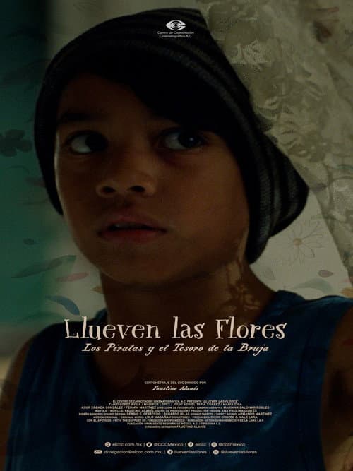 Постер до фільму «Llueven las flores, los piratas y el tesoro de la bruja»