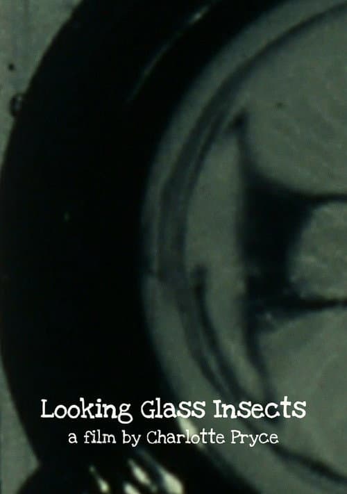 Poster for Looking Glass Insects