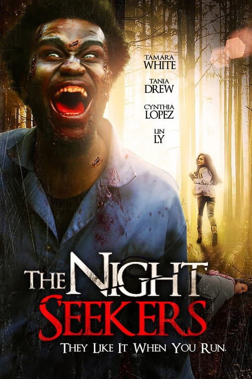 Poster for The Night Seekers