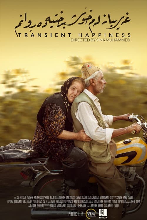 Poster for Transient Happiness