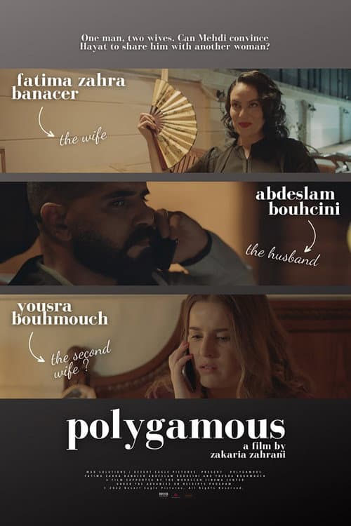 Постер до фільму «Polygamous»