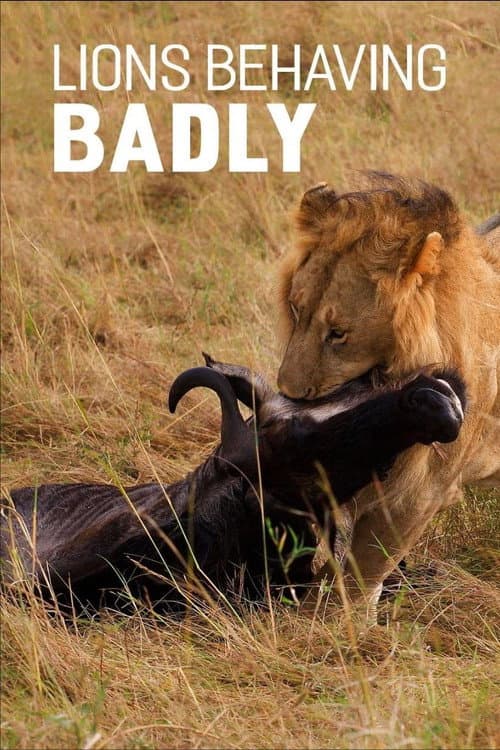 Poster for Lions Behaving Badly