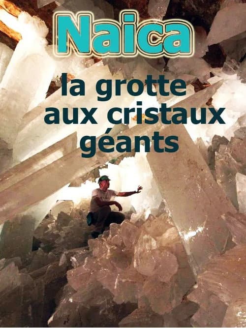 Poster for Naïca: La grotte aux cristaux géants