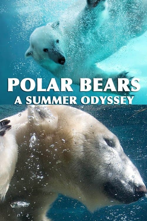 Poster for Polar Bears: A Summer Odyssey