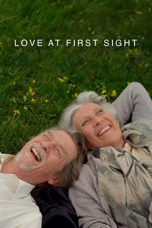 Poster for Love at First Sight