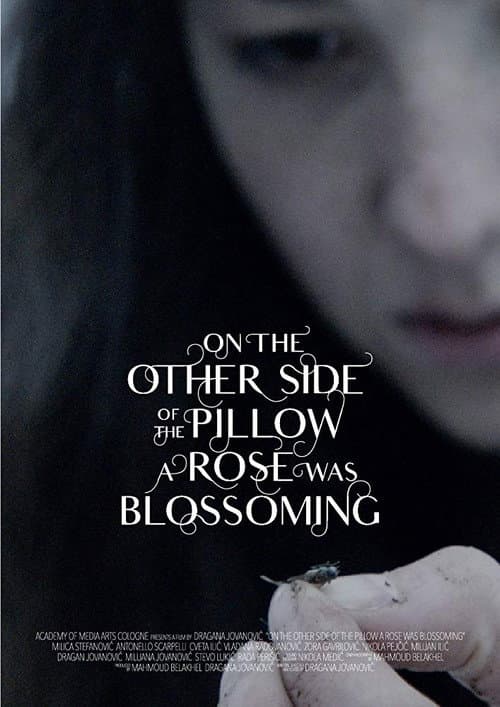 Poster for On the Other Side of the Pillow a Rose Was Blossoming